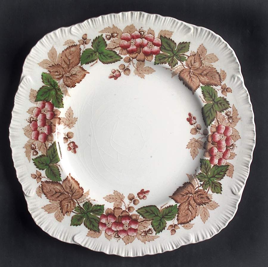 Wildbriar Brown Pink Square Luncheon Plate by Wedgwood-1
