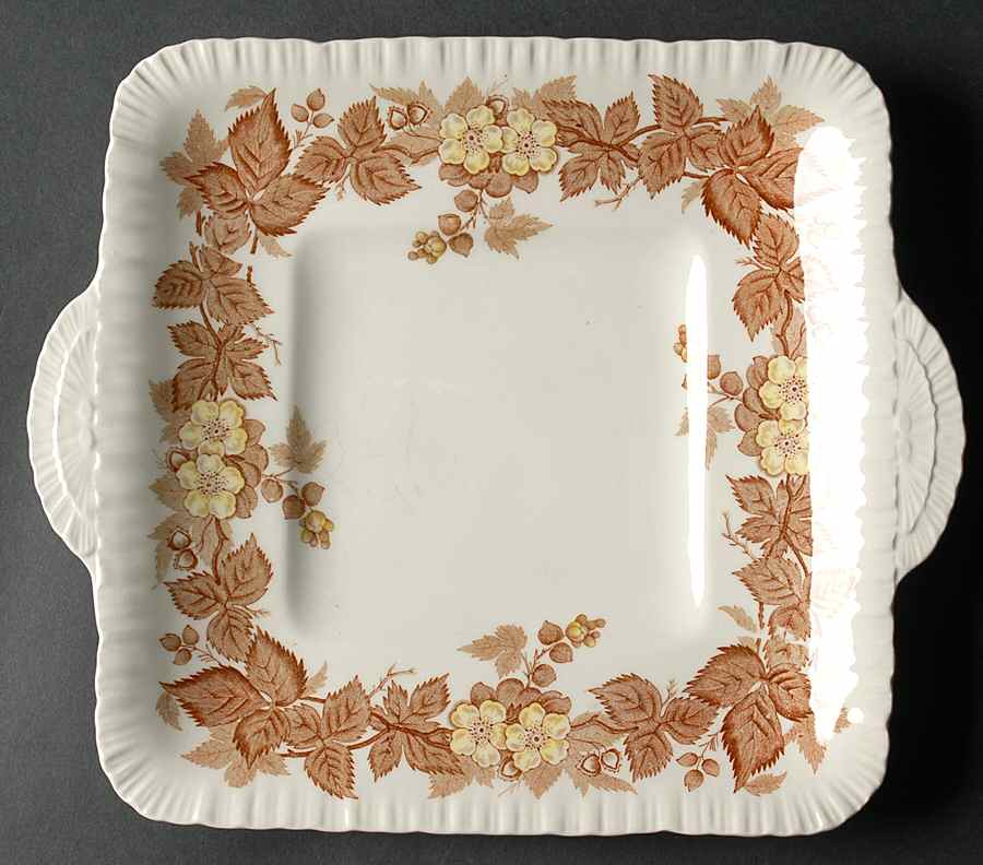 Wildbriar Brown Yellow Square Handled Cake Plate by Wedgwood-1