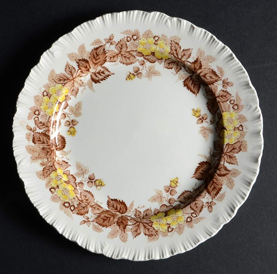 Wildbriar Brown Yellow Salad Plate by Wedgwood-1