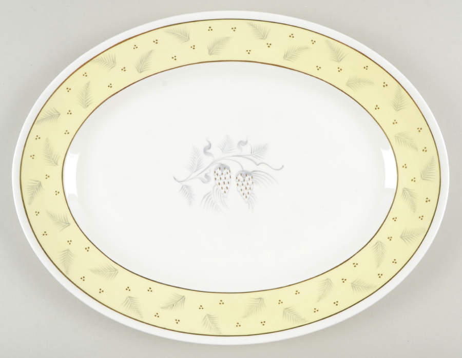 Windrush Yellow 15" Oval Serving Platter by Wedgwood-1