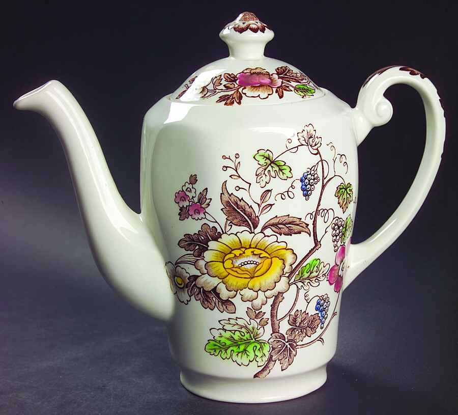 Windermere Multicolor Coffee Pot & Lid by Wedgwood-1