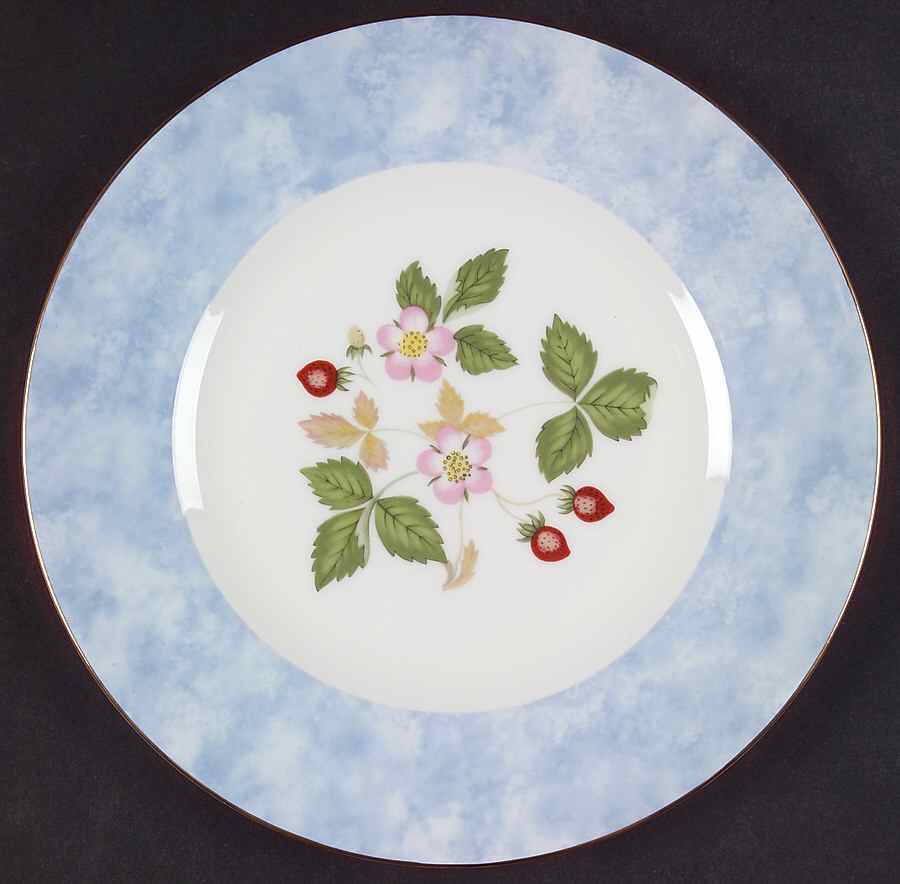 Wild Strawberry (Bone & Oven To Table) Accent Salad Plate by Wedgwood-1