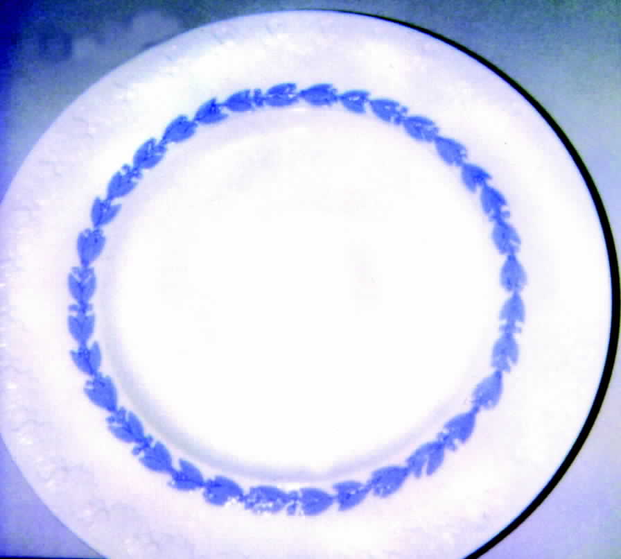 WW65 Dinner Plate by Wedgwood-1