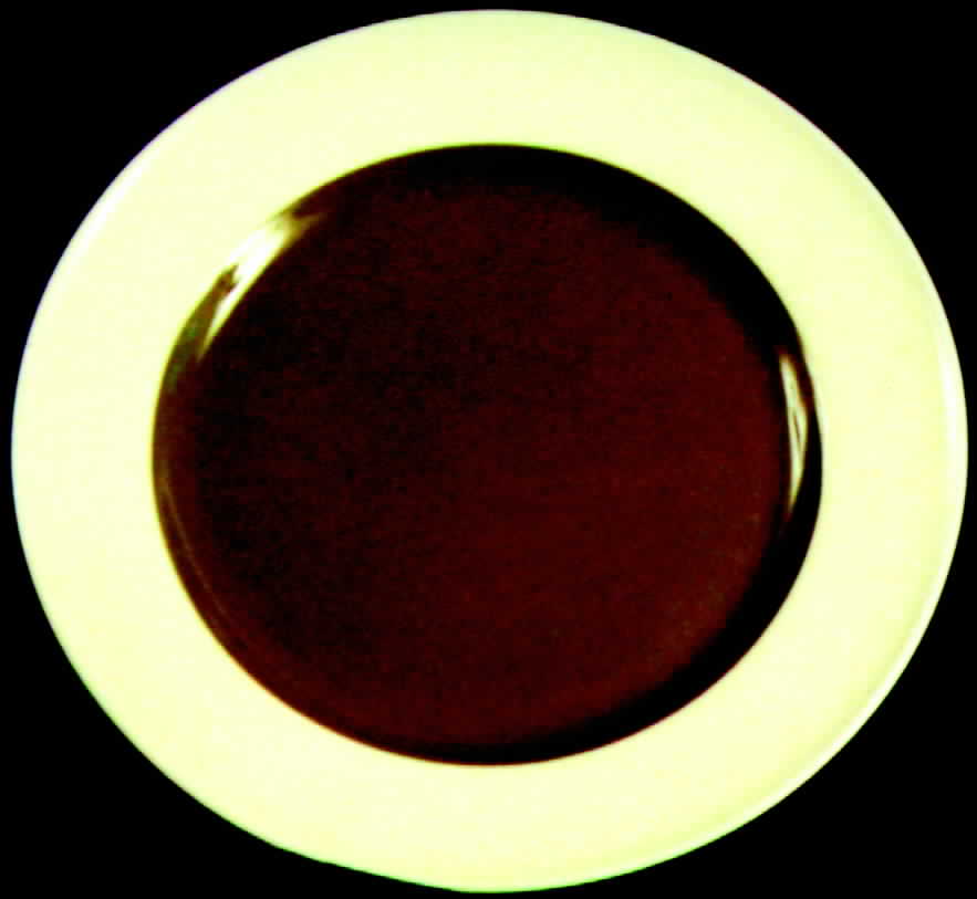 WW69 Dinner Plate by Wedgwood-1
