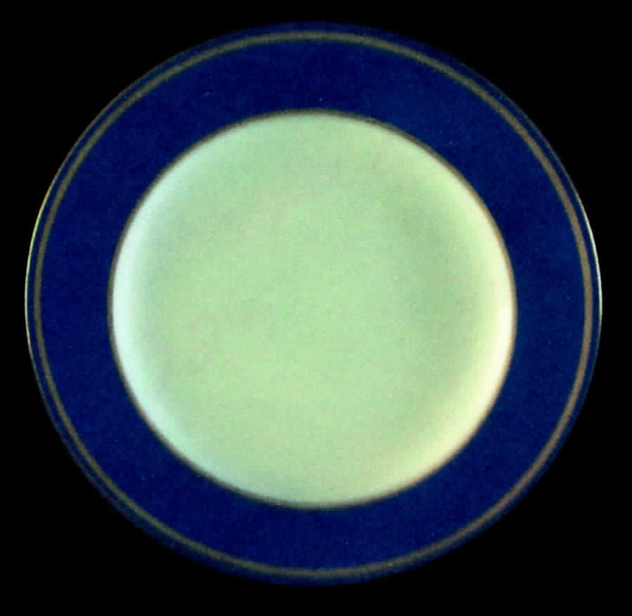 X9325 Dinner Plate by Wedgwood-1