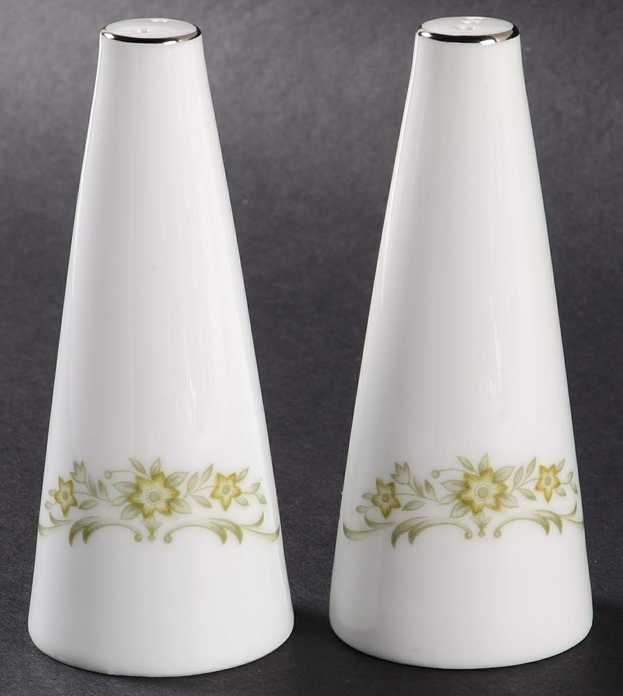 Aurora Salt & Pepper Set by Wyndham-1