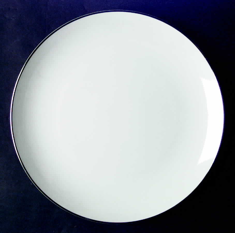 Century Dinner Plate by Wyndham-1
