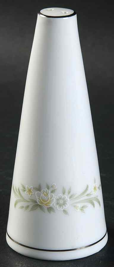 Fontana Salt Shaker by Wyndham-1
