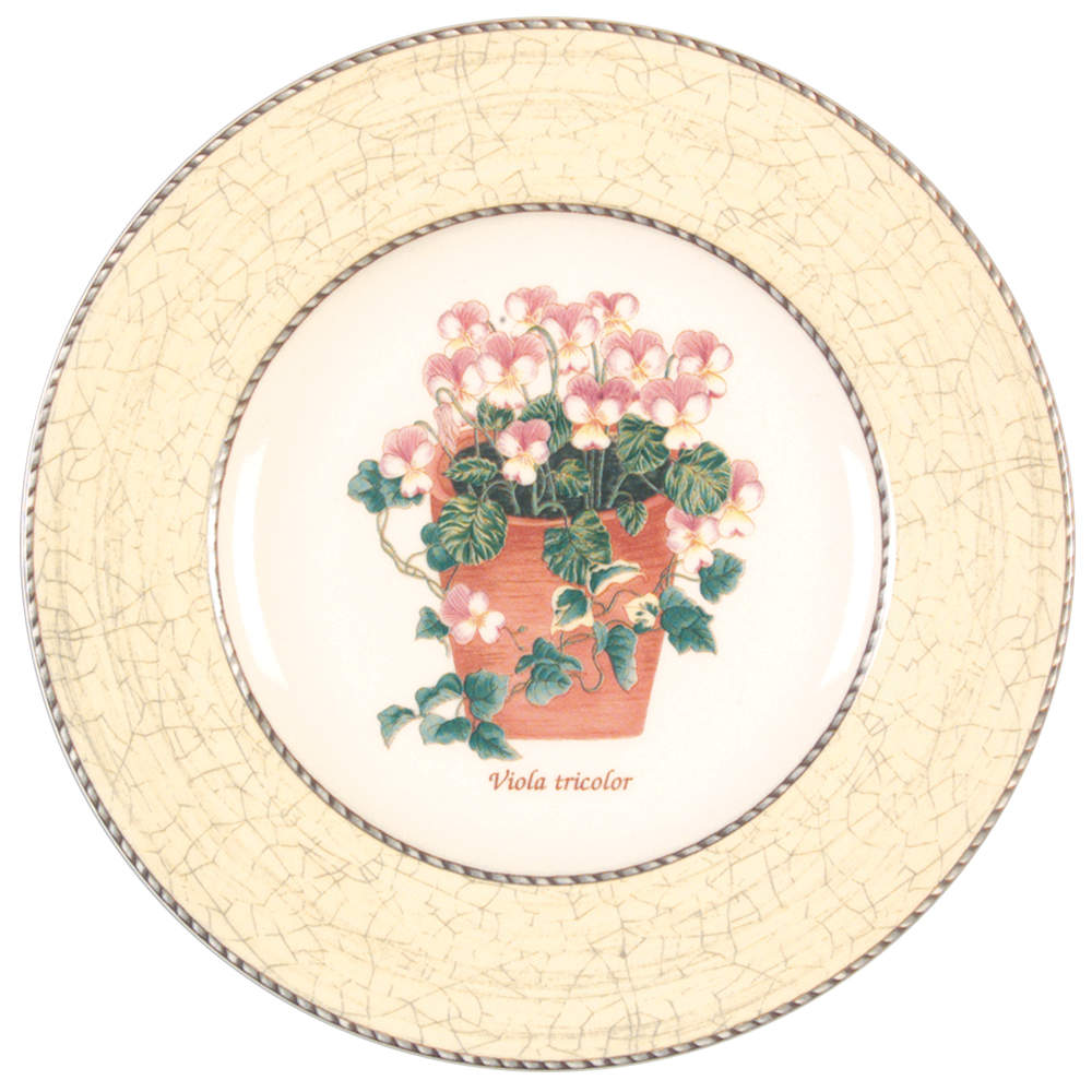 Sarah's Garden Salad Plate by Wedgwood-1