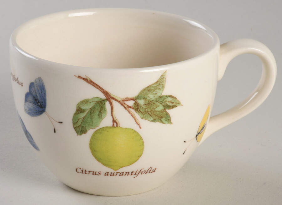 Sarah's Garden Flat Cup by Wedgwood-1