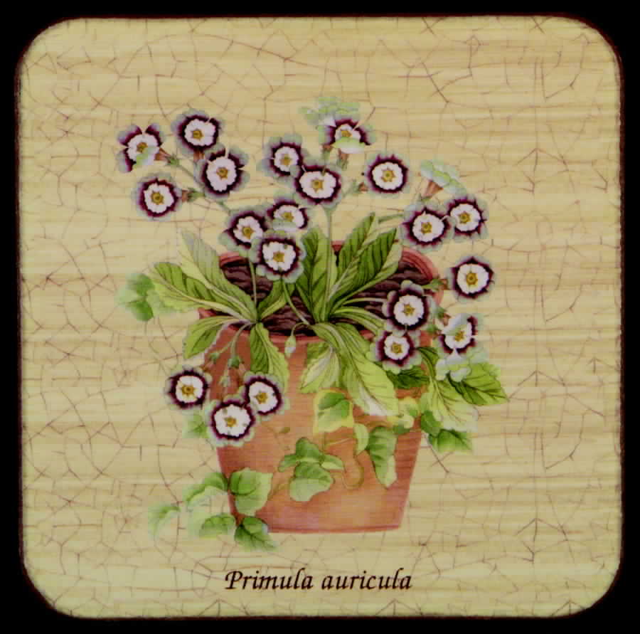 Sarah's Garden Square Corkback Coaster by Wedgwood-1