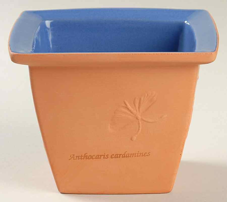 Sarah's Garden Small Planter by Wedgwood-1