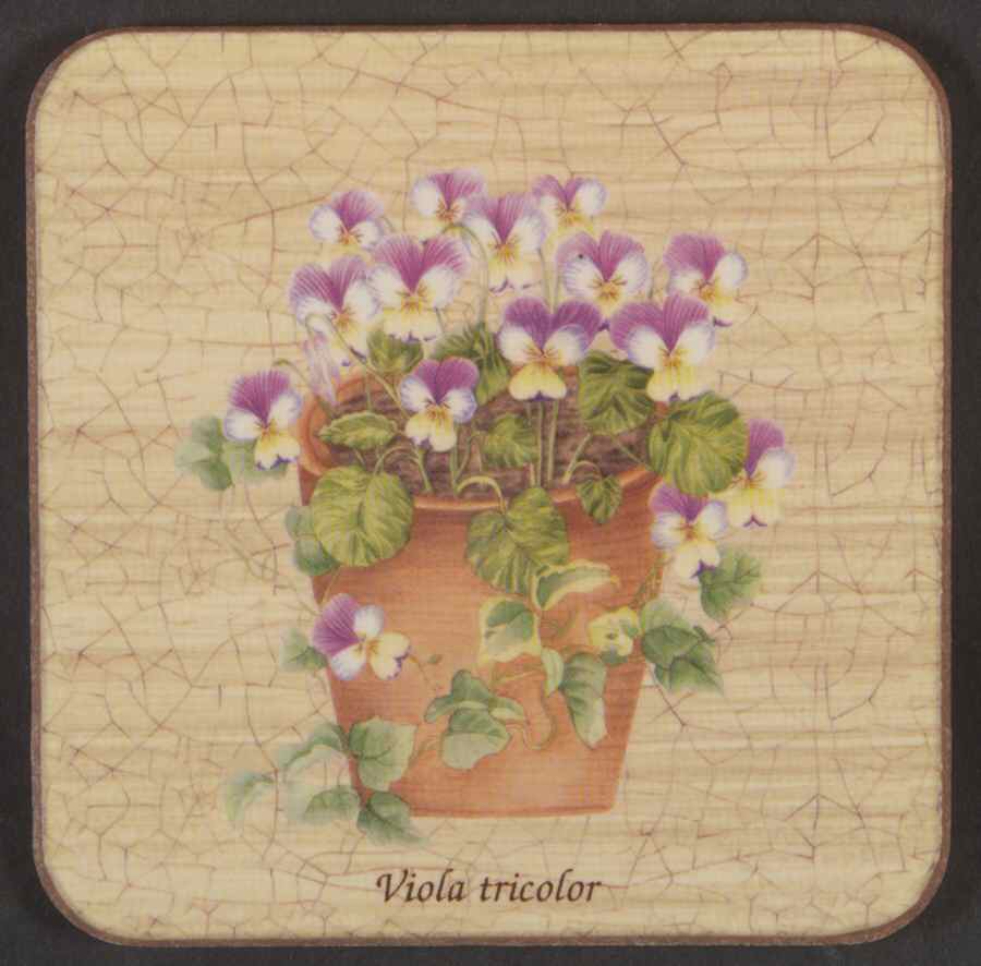 Sarah's Garden Square Corkback Coaster by Wedgwood-1