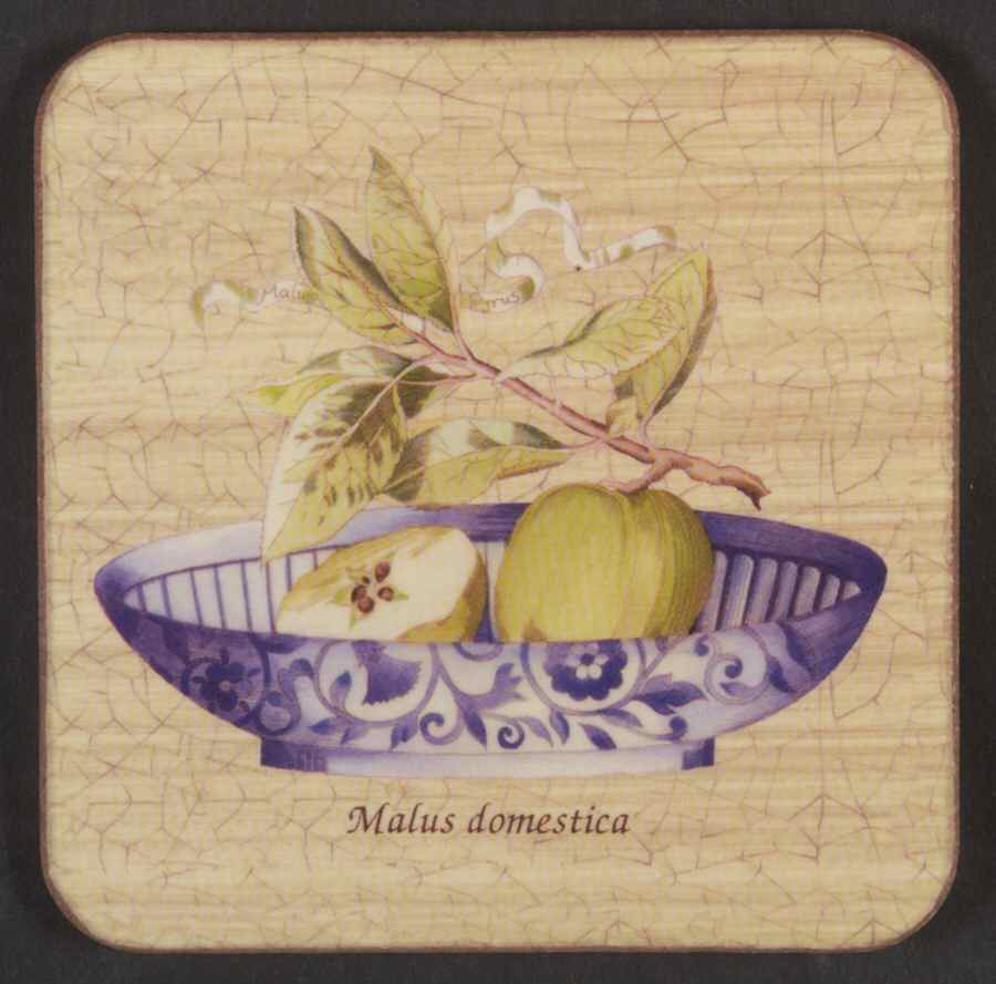 Sarah's Garden Square Corkback Coaster by Wedgwood-1