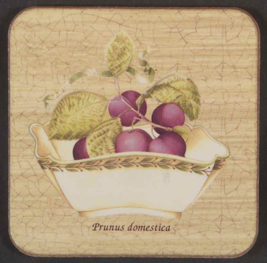 Sarah's Garden Square Corkback Coaster by Wedgwood-1