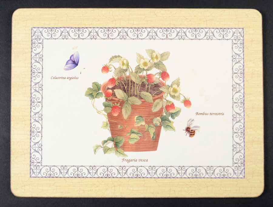 Sarah's Garden Small Corkboard Placemat by Wedgwood-1