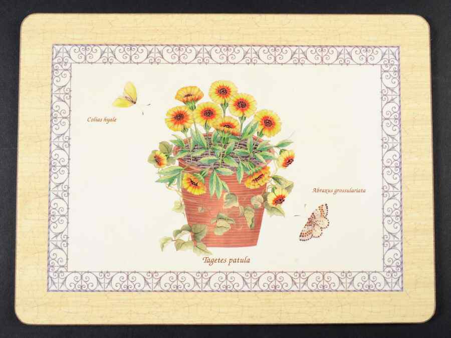 Sarah's Garden Small Corkboard Placemat by Wedgwood-1