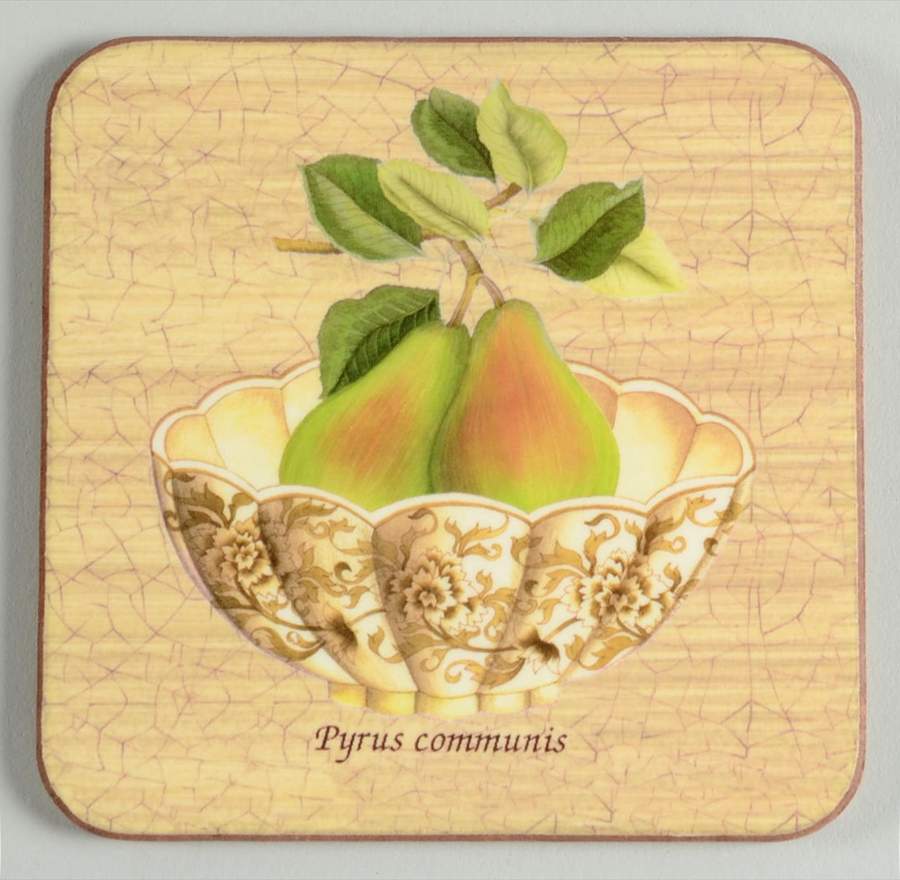 Sarah's Garden Square Corkback Coaster by Wedgwood-1