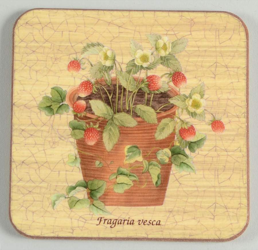 Sarah's Garden Square Corkback Coaster by Wedgwood-1
