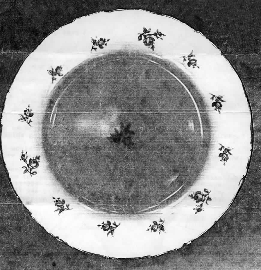 WIG248 Dinner Plate by Winterling - Bavaria-1