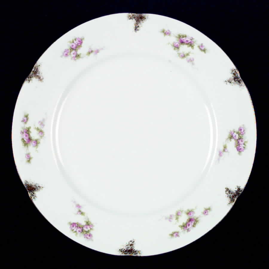 WIK3 Dinner Plate by F Winkle-1