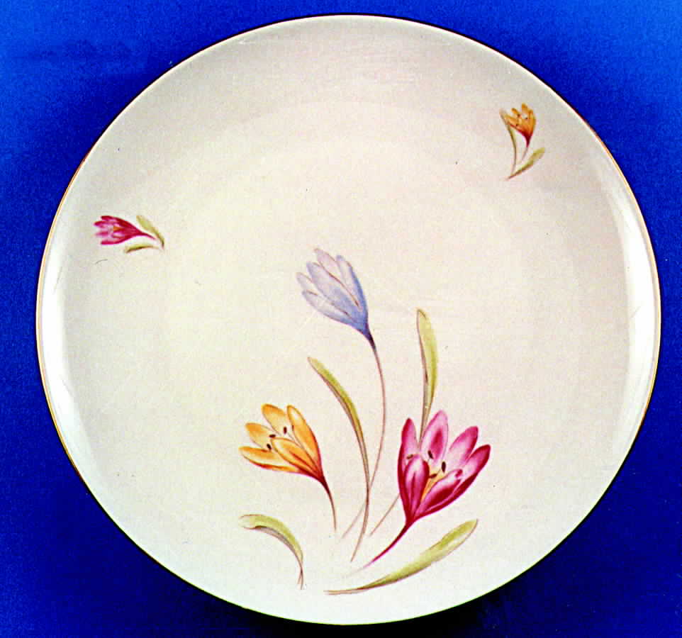 WIG255 Dinner Plate by Winterling - Bavaria-1