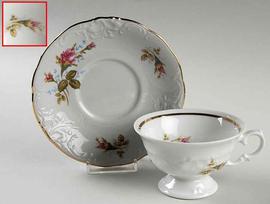 Moss Rose Footed Cup & Saucer Set by Walbrzych-1