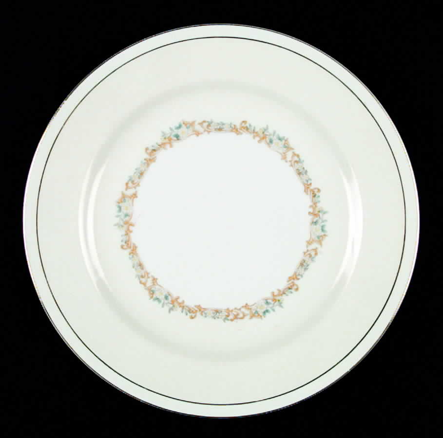 WEX2 Dinner Plate by Wexford-1