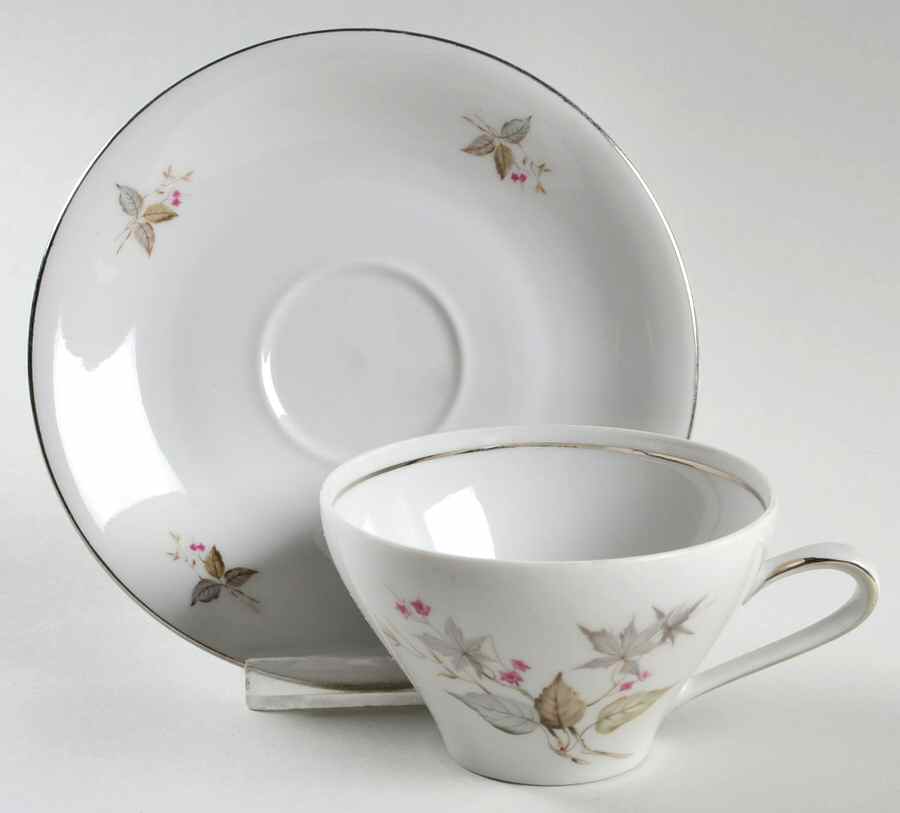 WIG262 Flat Cup & Saucer Set by Winterling - Bavaria-1