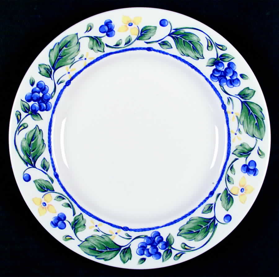 Flowering Vine Accent Luncheon Plate by Wedgwood-1