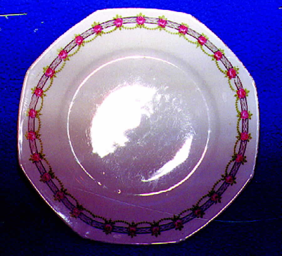 WEI12 Dinner Plate by Weimar-1