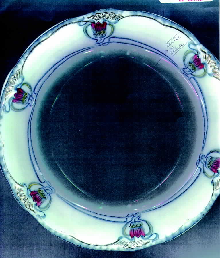 York Dinner Plate by Wood & Sons-1