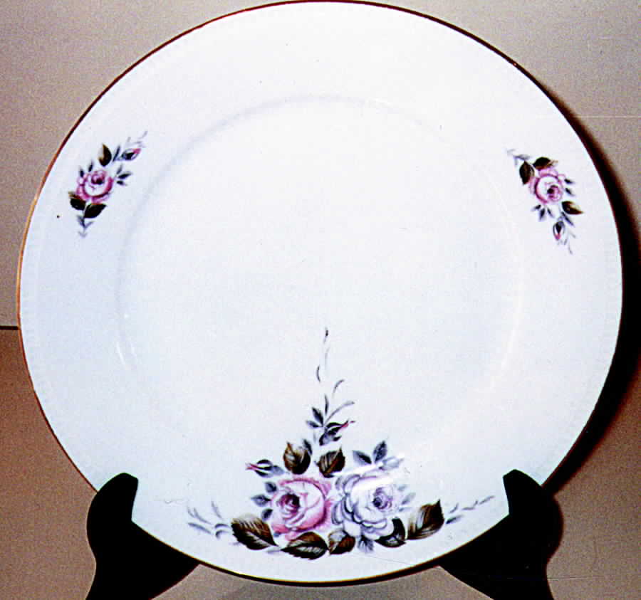 60672 Dinner Plate by Waldsassen-1