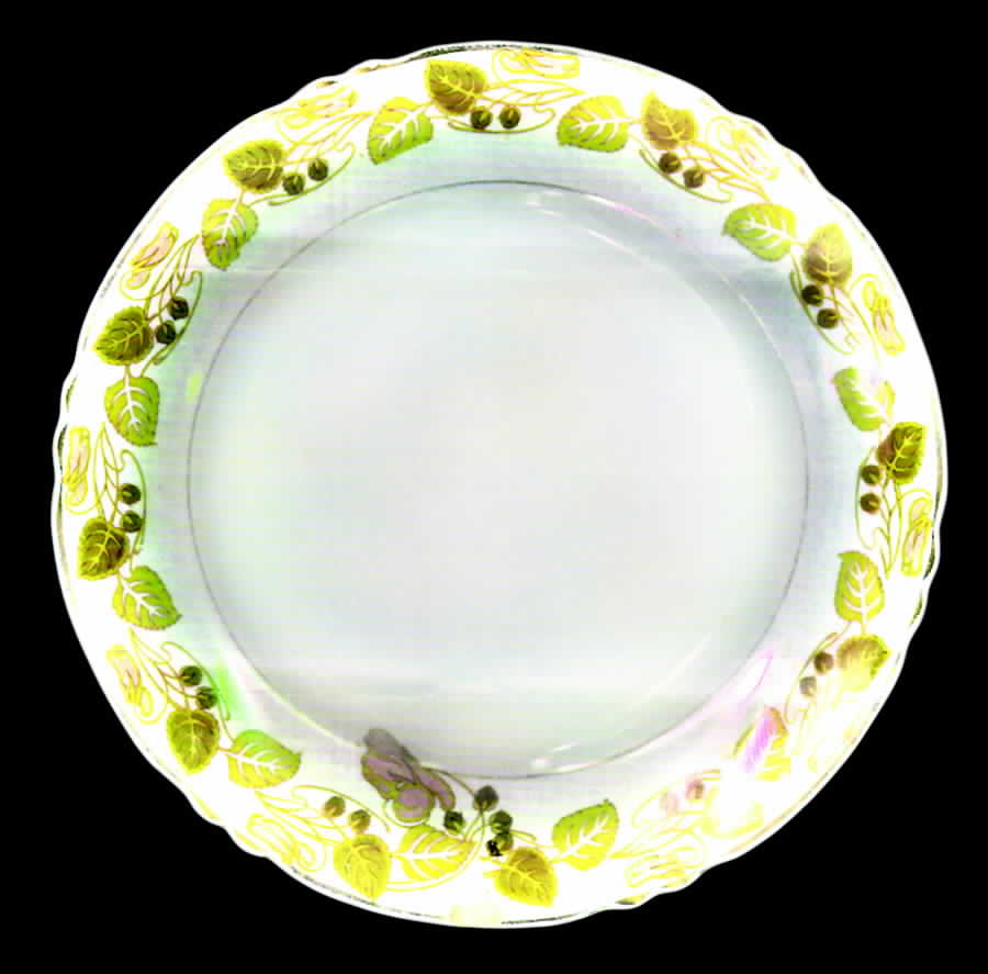 WAR50 Dinner Plate by Warwick-1