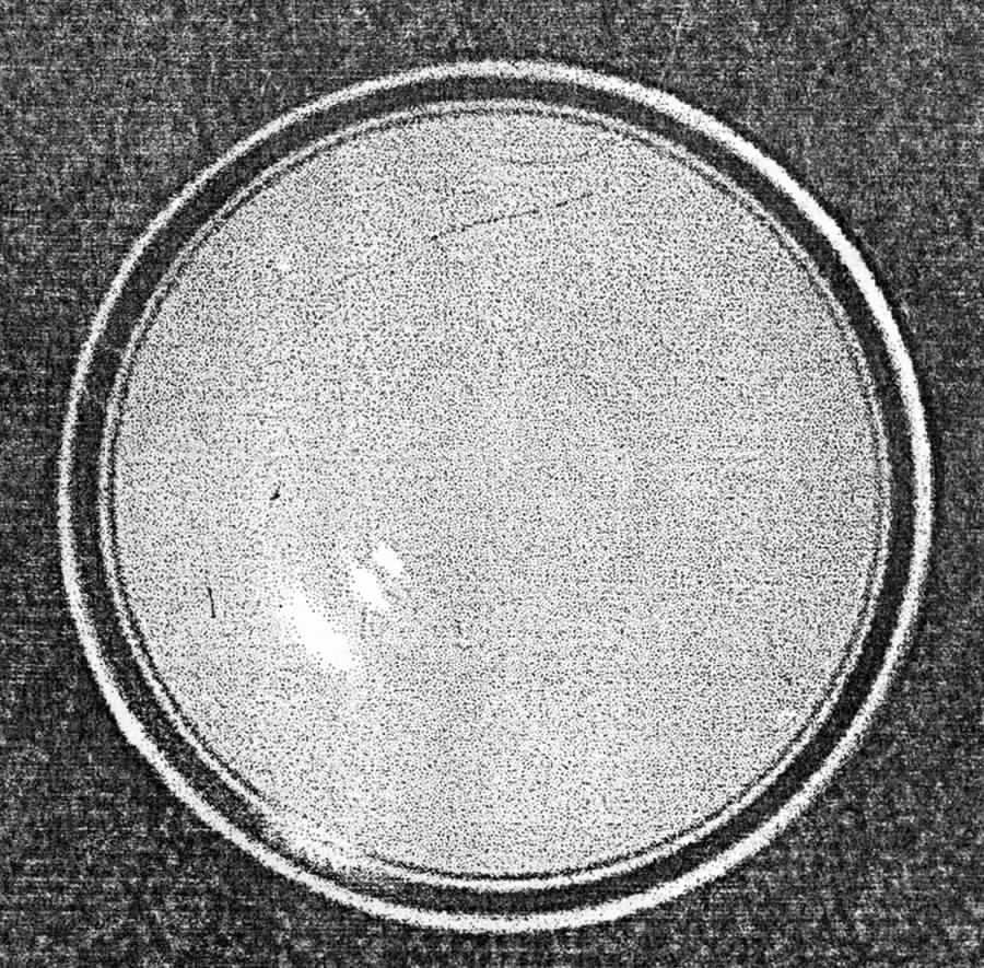 WOO24 Saucer for Bouillon Cup by Wood & Sons-1