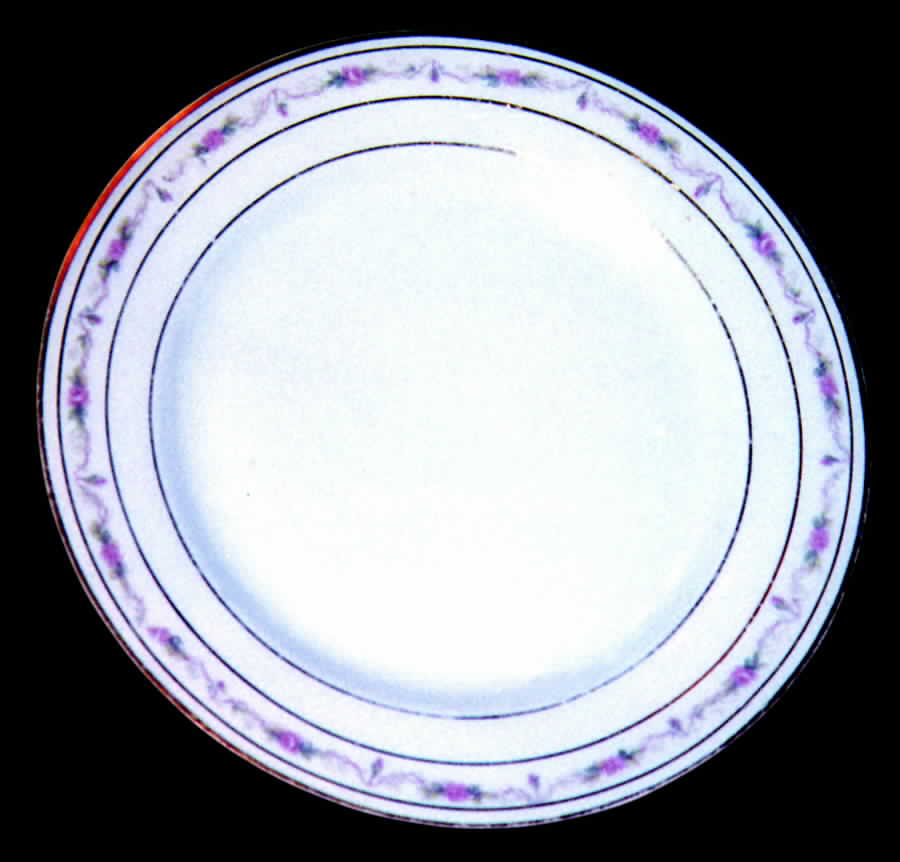 09093 Dinner Plate by Warwick-1