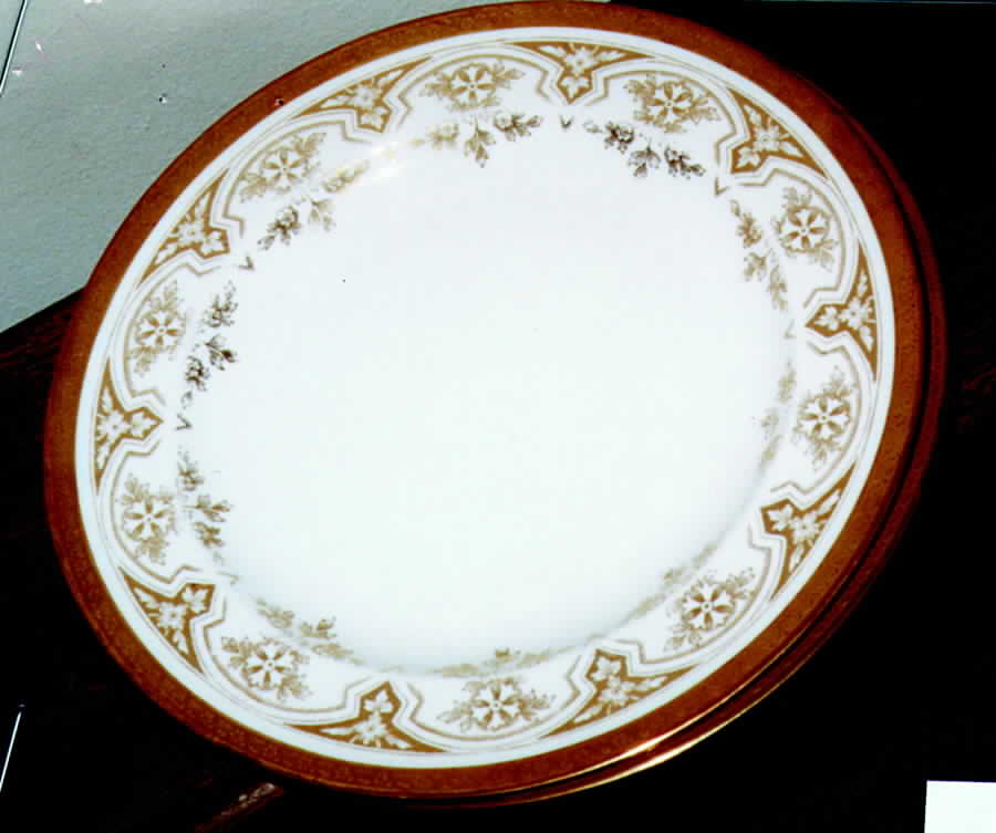 X3543 Dinner Plate by Wedgwood-1