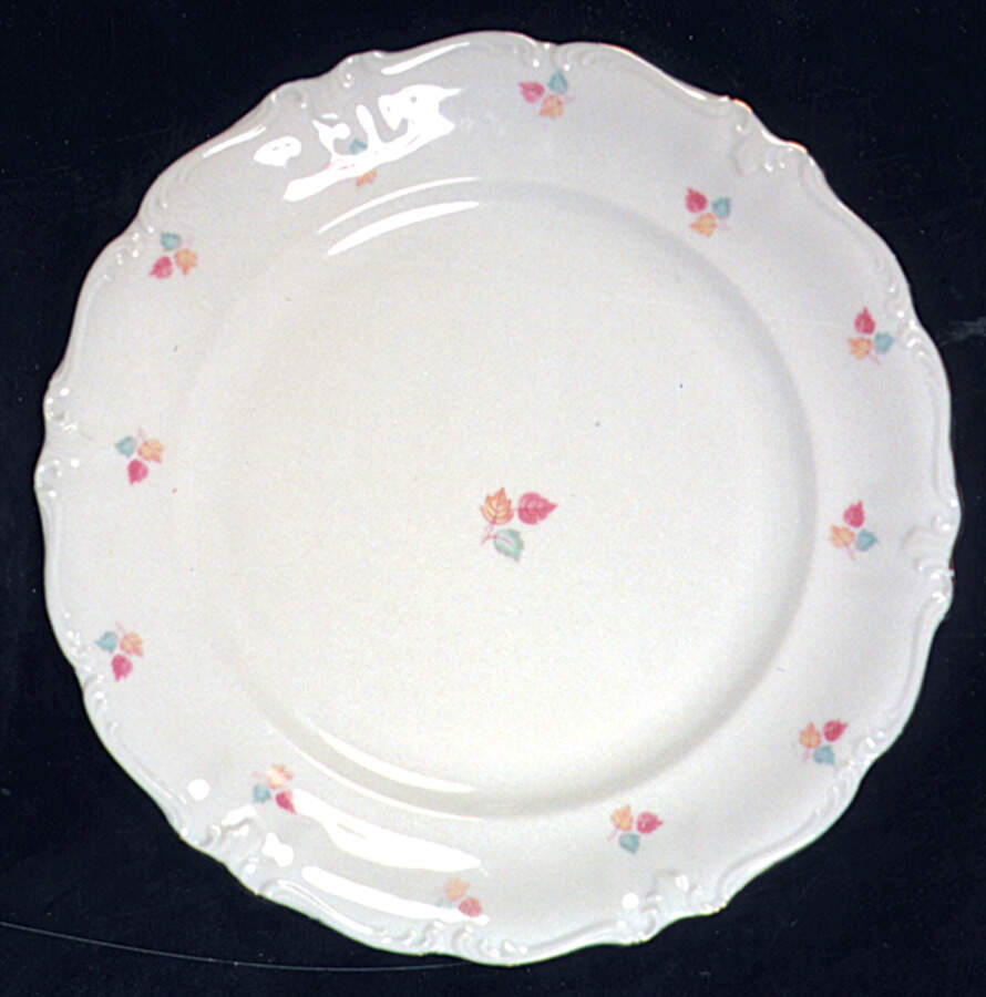 4217b Dinner Plate by Winterling - Bavaria-1