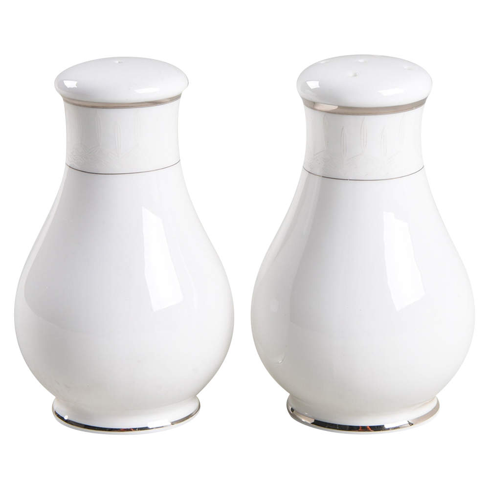Lismore Platinum Salt & Pepper Set by Waterford China-1