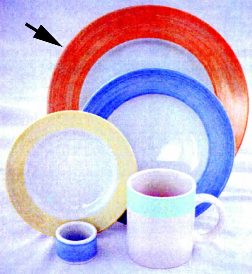 Playa Del Coma Coral Dinner Plate by Woodmere-1
