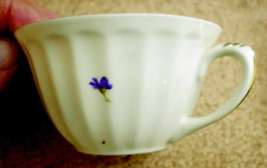5412 Flat Cup by Bauer & Pfeiffer-1