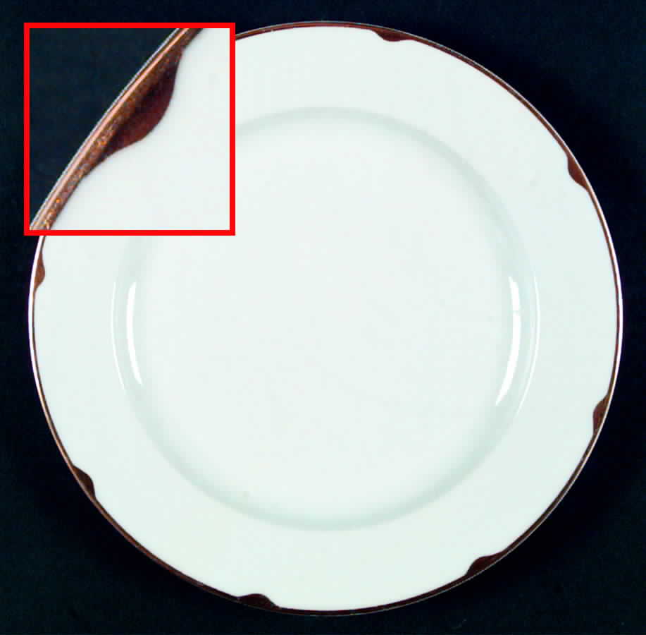 WCH2 Dinner Plate by Wittelsbach-1