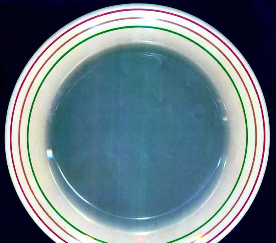WLK7 Dinner Plate by Walker-1