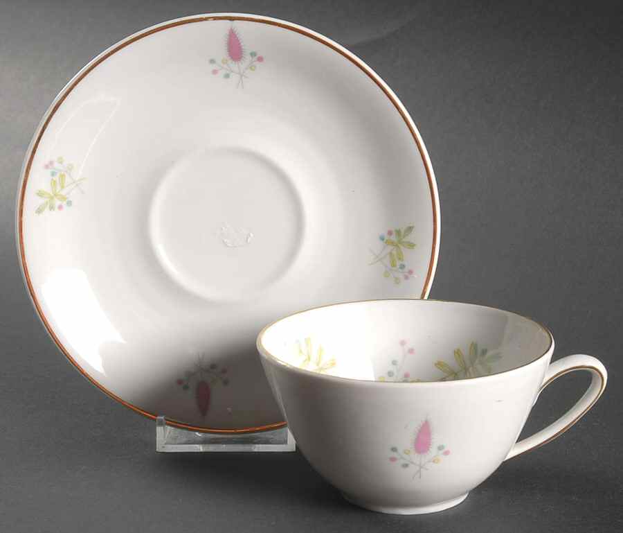 WIG297 Flat Cup & Saucer Set by Winterling - Bavaria-1