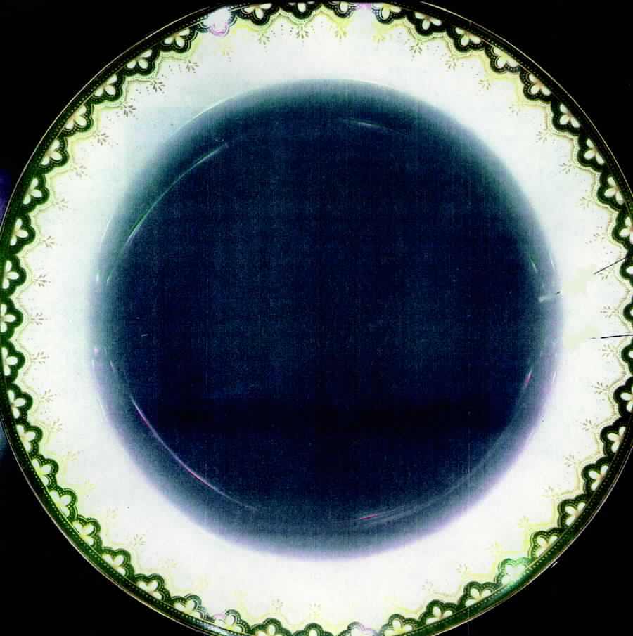 X4804 Dinner Plate by Wedgwood-1