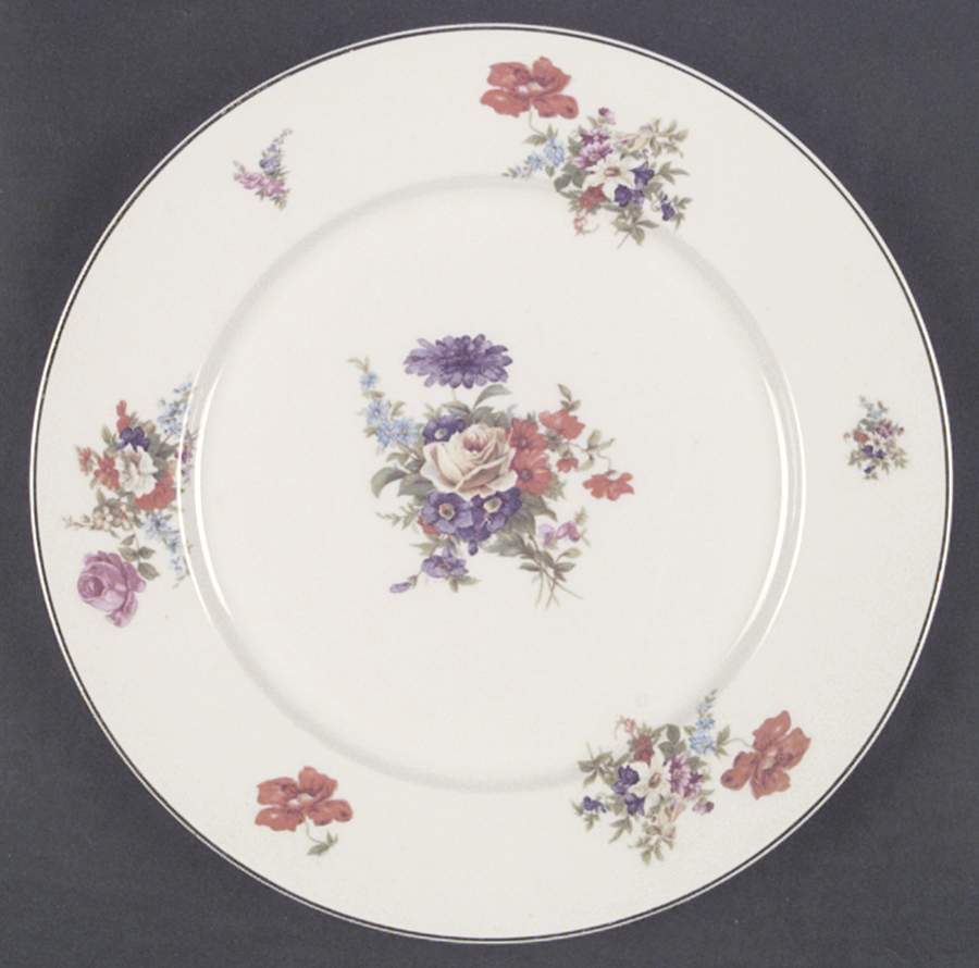 AB9404 Dinner Plate by Warwick-1
