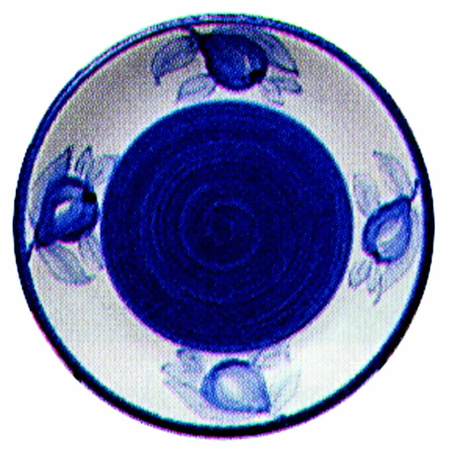 Blue Tuscan Salad Plate by Williams-Sonoma-1