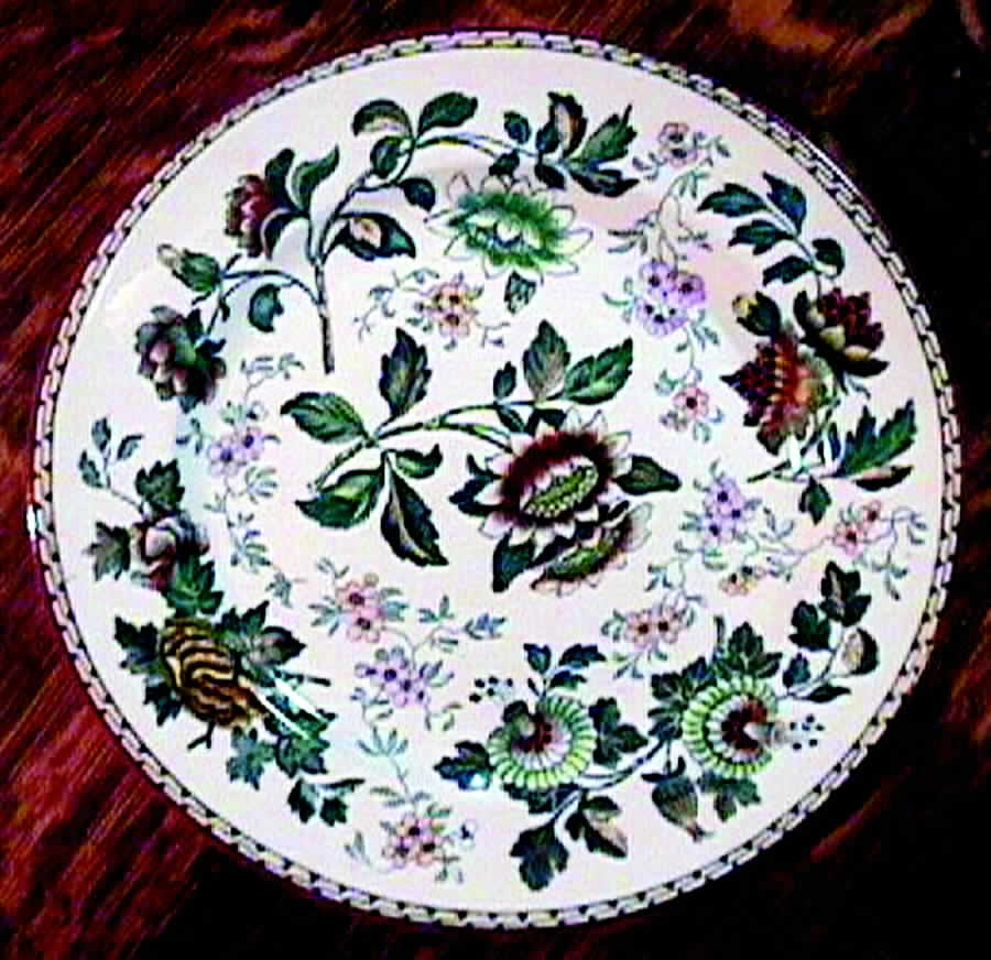 Tonquin Multicolor (Smooth, Red Trim) Dinner Plate by Wedgwood-1