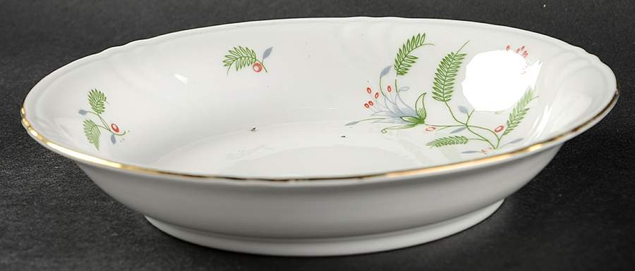 B. Fern (Swirl Rim) Coupe Soup Bowl by Winterling - Bavaria-1