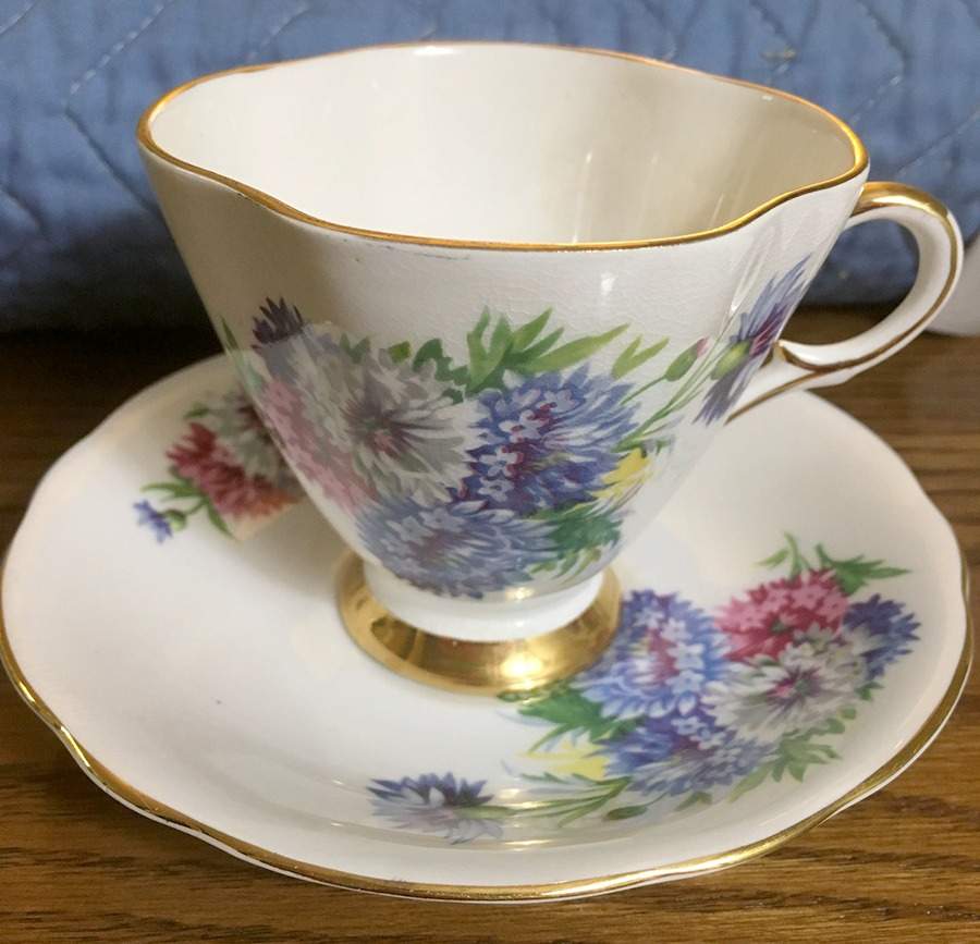 Harvest Glory Footed Cup & Saucer Set by Windsor (England)-1